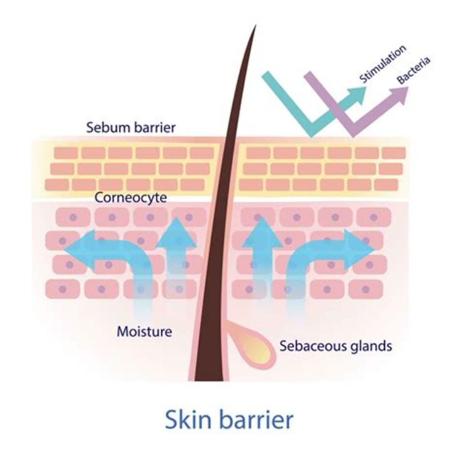 Barrier-friendly aftercare products for waxing and sugaring